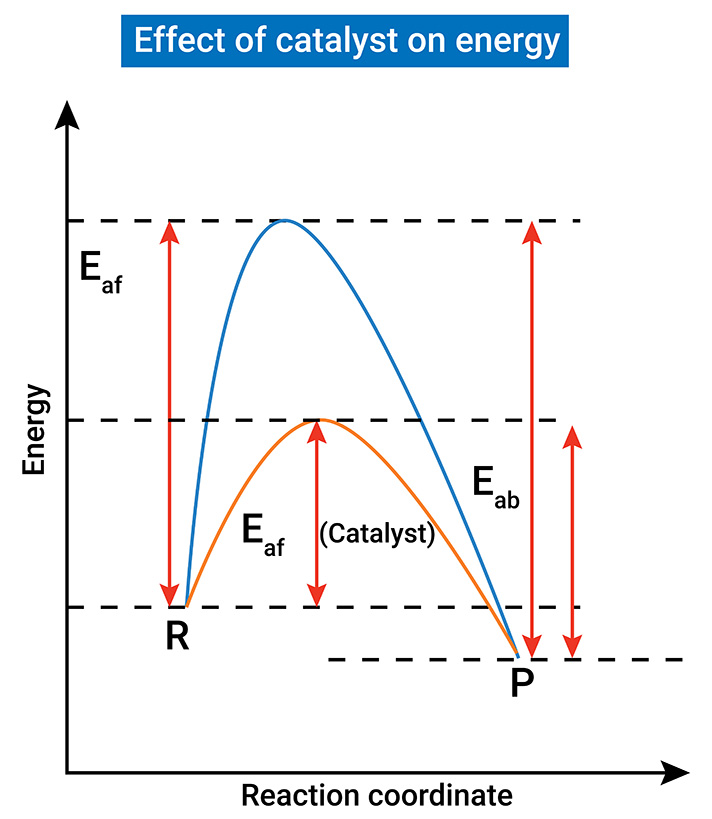 Catalyst Energy Chart Catalyst Energy Chart