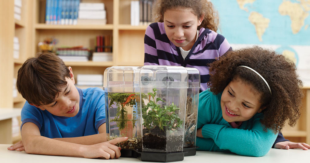 Elementary School Science Lab