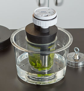 Photosynthesis Tank