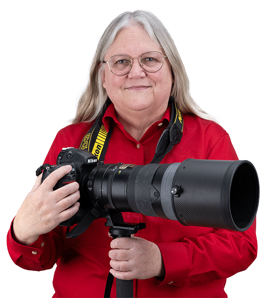 Ann Hanks