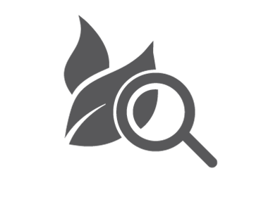 Labs Icon